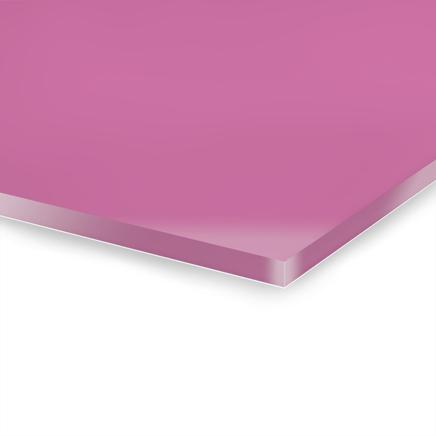 Red Pig Button Digital Art, Oink! Pink Acrylic Prints (Triptych)